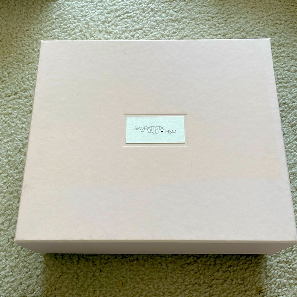 Giambattista Valli x H&M shoe box